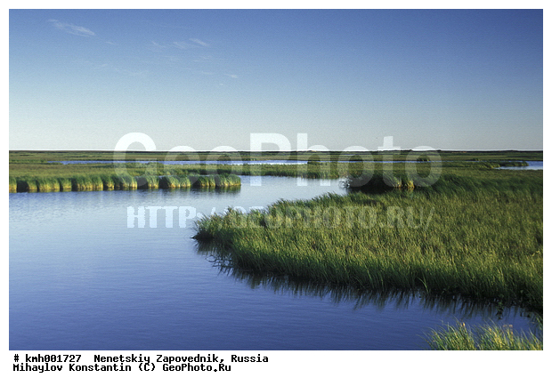 �������� ������